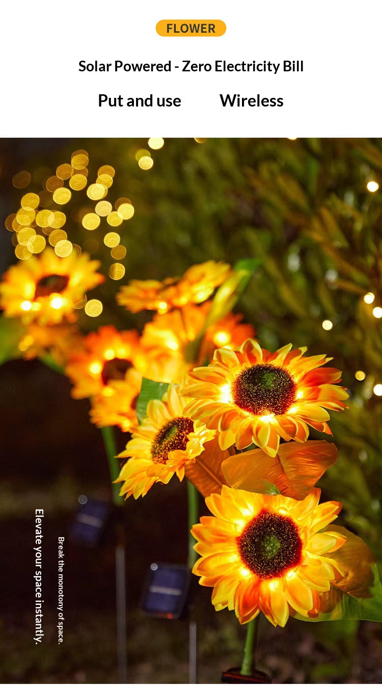 GIRASOLES SOLARES 6 EN 1